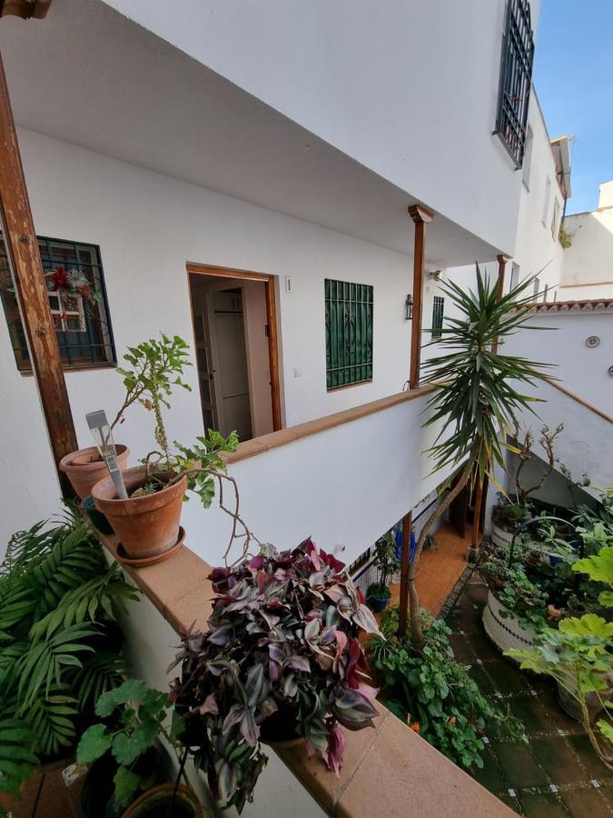 Apartamentos En Patio Cordobes San Basilio Córdoba Exterior foto